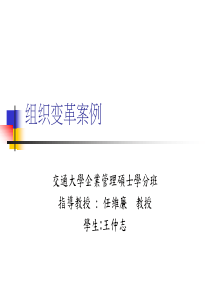 组织变革案例(PPT32)(2)