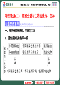 精品微课(二)-细胞分裂与生物的遗传、变异