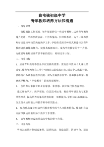 青年教师培训方案