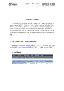 circRNA引物设计