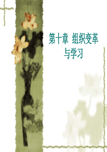 组织行为学——组织变革