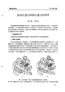 谈血红蛋白和肌红蛋白的异同