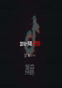 2018抖音研究报告海马大数据20180865页