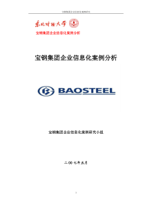 宝钢集团企业信息化案例分析文档信息