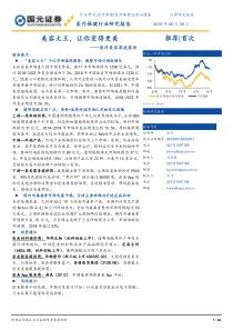 医疗美容深度报告美容大王让你变得更美20190608国元证券46页