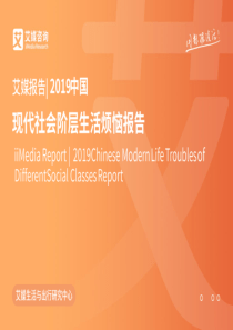 2019中国现代社会阶层生活烦恼报告20191066页