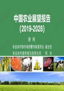 2019中国农业展望大会中国农业展望报告201920282019436页