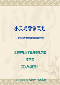 小灵通营销策划-广东省电信公司实际案例分析--linsan(1)