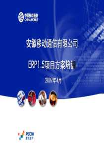 ERP15项目方案培训