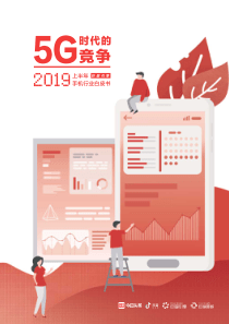 2019年上半年手机行业白皮书巨量引擎2019867页