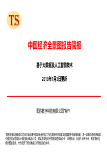 图胜数字中国经济形势全景图简报201913144页