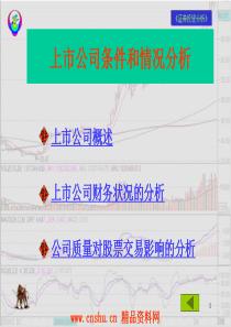 上市公司条件和情况分析(ppt117)