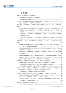 医药生物行业PD1系列之肺癌篇战略重地格局良好20181021广发证券37页