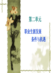 职业生涯发展条件与机遇