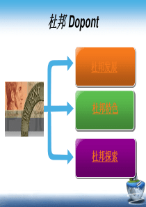 杜邦公司案例分析