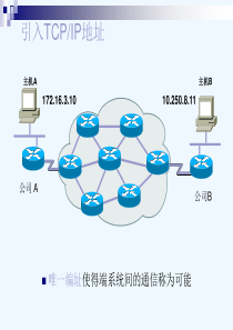 计算机网络基础3(研究生)