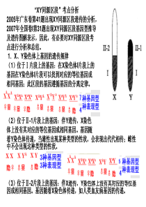 D-XY同源区段2014-3-31