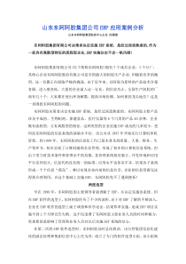 某某集团公司ERP应用案例分析