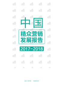 活跃科技2018中国精众营销发展报告白皮书201886页