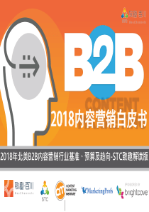 致趣百川2018B2B内容营销白皮书2019274页