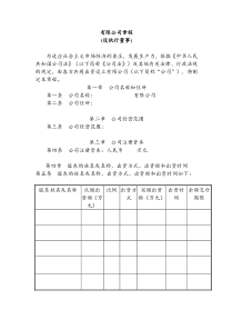 有限公司章程(设执行董事)