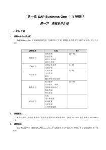 SBO财务管理培训手册  