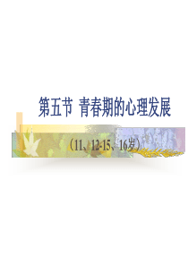 第五章--青春期的心理发展