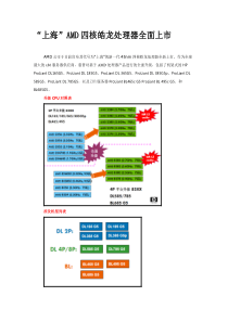 上海AMD四核皓龙处理器全面上市