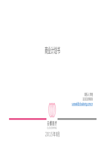 云樱医疗商业计划书15页