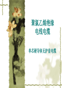 聚氯乙烯绝缘电线电缆