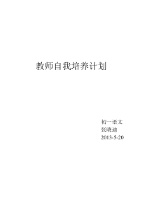 青年教师个人自培计划