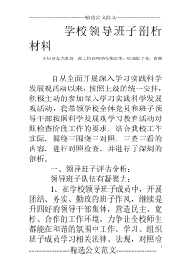 学校领导班子剖析材料