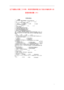 辽宁省鞍山市第二十中学华育外国语学校2017届九年级化学9月拔高训练试题六