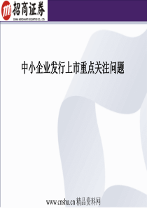 中小企业发行上市重点关注问题(ppt63)