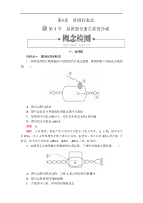 2020春生物人教版必修2检测第4章第1节基因指导蛋白质的合成解析