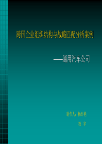 跨国企业组织结构与战略匹配分析案例