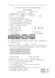 辽宁省实验中学20192020学年高一上学期期中考试生物试卷答案