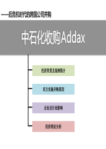 跨国公司经济学案例展示