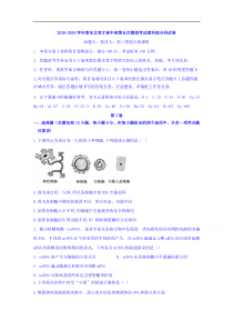 辽宁省沈阳市东北育才学校2019届高三第五次模拟生物试题答案