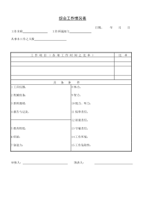 综合工作情况表