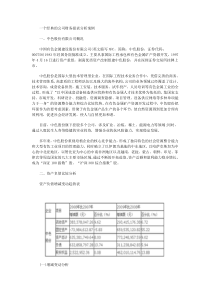 一个经典的公司财务报表分析案例