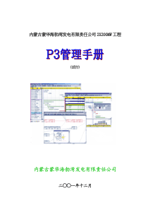 XX海电工程P3管理手册(试行)(1)