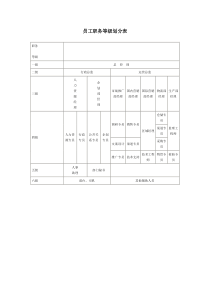 员工职务等级划分表