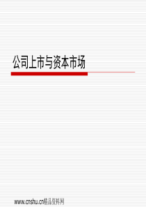 公司上市与资本市场(ppt 55)