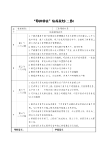 工程单位工作导师带徒培养规划