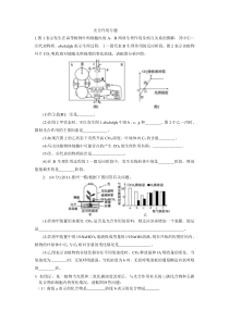 光合作用练习题(有答案)