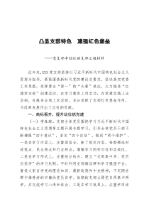 党支部争创红旗支部汇报材料