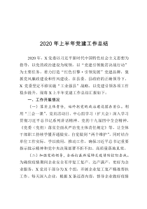 2020年上半年党建工作总结1