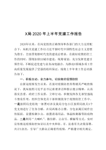 2020年上半年党建工作报告