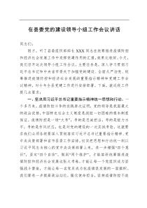 在县委党的建设领导小组工作会议讲话